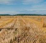 Tour highlights Latino-owned farms