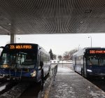 Pace suburban bus service seeks public feedback on system proposals