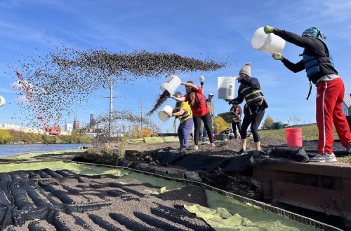 Illinois lawmakers call for clean-up of Bubbly Creek