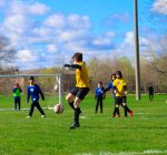 Master plan provides road map for Viking Park upgrade