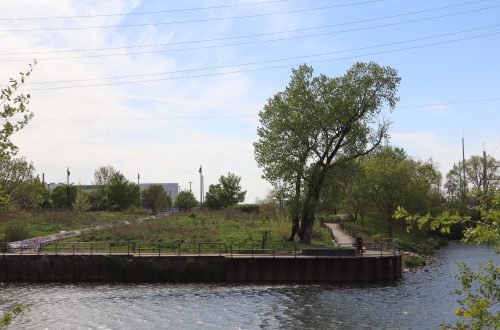 City working on plan to improve Chicago River’s South Branch
