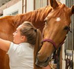 Insurance plans could soon be required to cover horseback-riding therapy