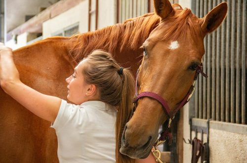 Insurance plans could soon be required to cover horseback-riding therapy
