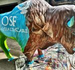 Bison Trek links communities via the arts