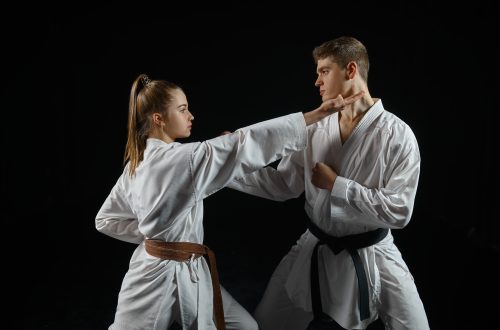 Martial arts conference moves into Tinley